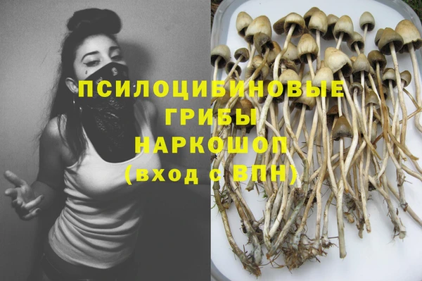 индика Алексеевка