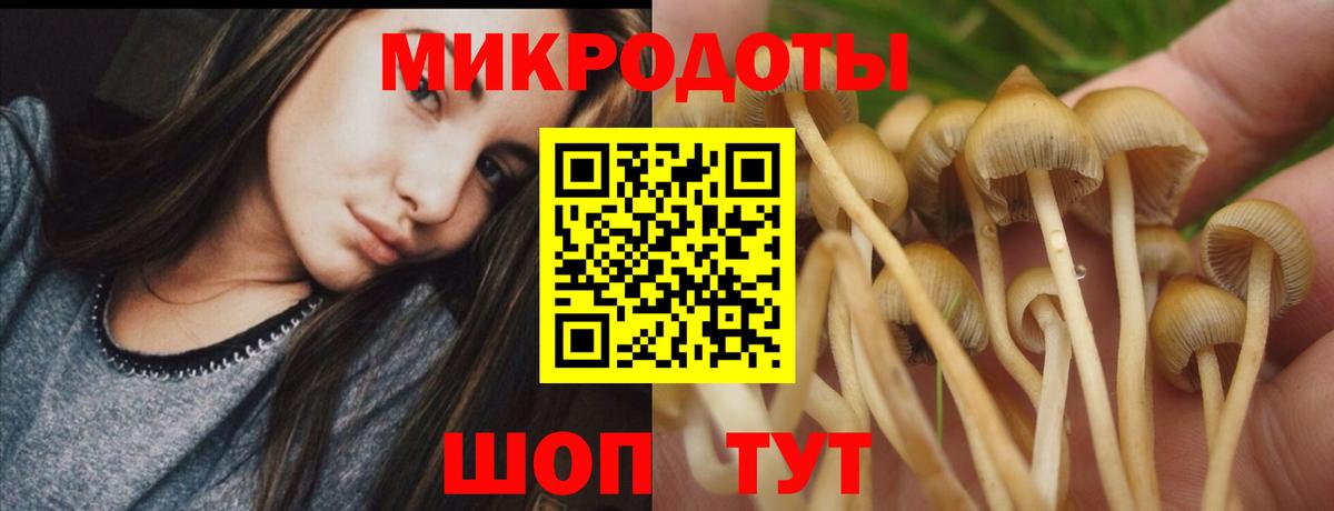 Псилоцибиновые грибы Cubensis  Галлюциногенные грибы Psilocybe  Пермь  Вход с VPN 