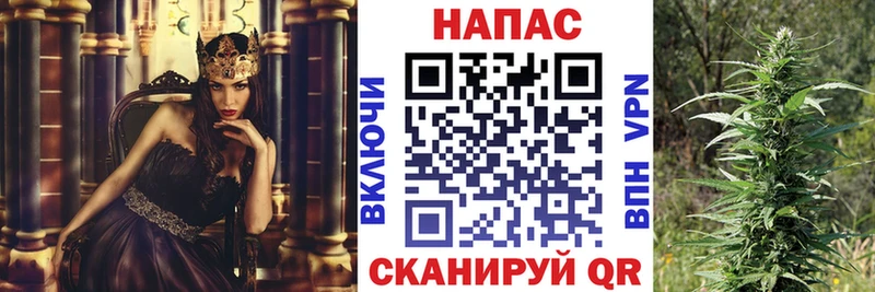 Бошки Шишки гибрид  мега как зайти  Пермь 